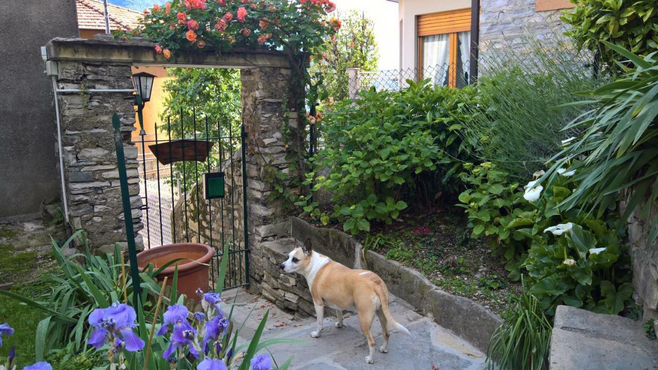 B&B "A Casa Di Camilla" 카라테우리오 외부 사진